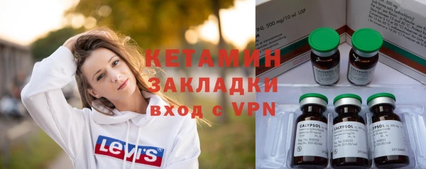 мдпв Ельня