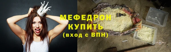 мдпв Ельня