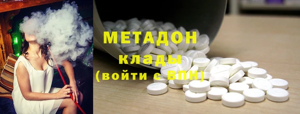 мдпв Ельня