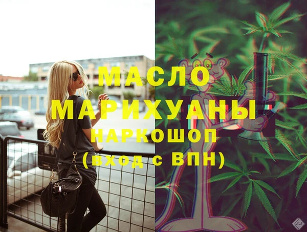 мдпв Ельня