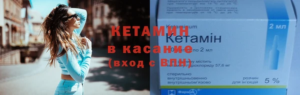 мдпв Ельня