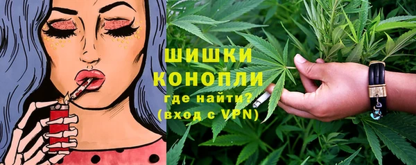 мдпв Ельня
