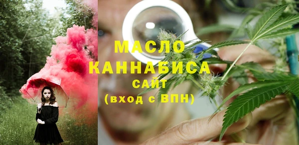 мдпв Ельня