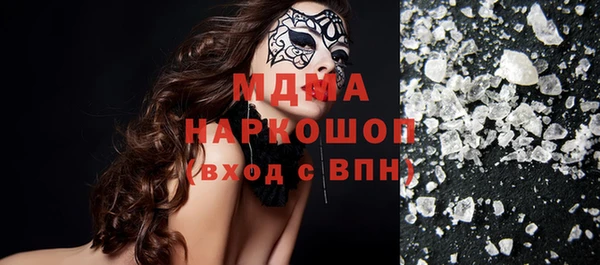 мдпв Ельня