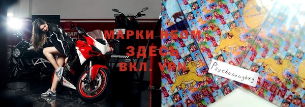 мдпв Ельня