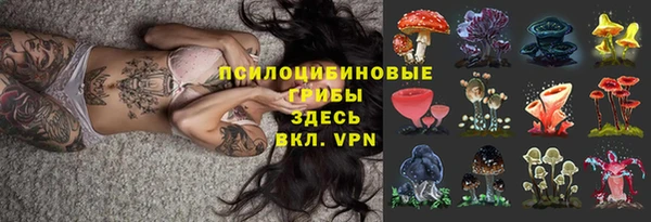 не бодяженный Елабуга