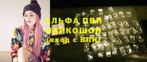 мдпв Ельня