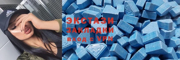 мдпв Ельня