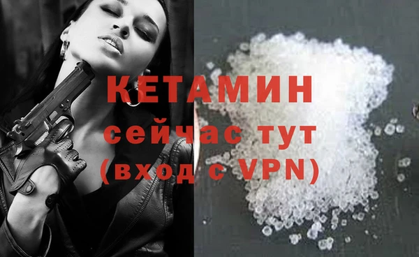 мдпв Ельня