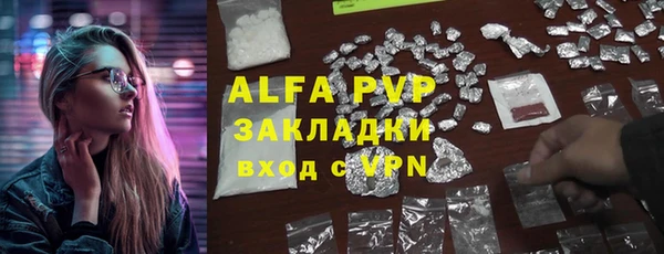 мдпв Ельня