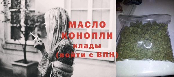 мдпв Ельня