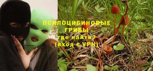 не бодяженный Елабуга